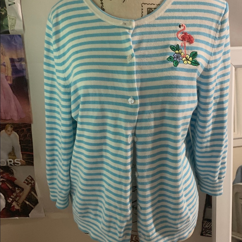 Talbots Blue and White Striped Knit